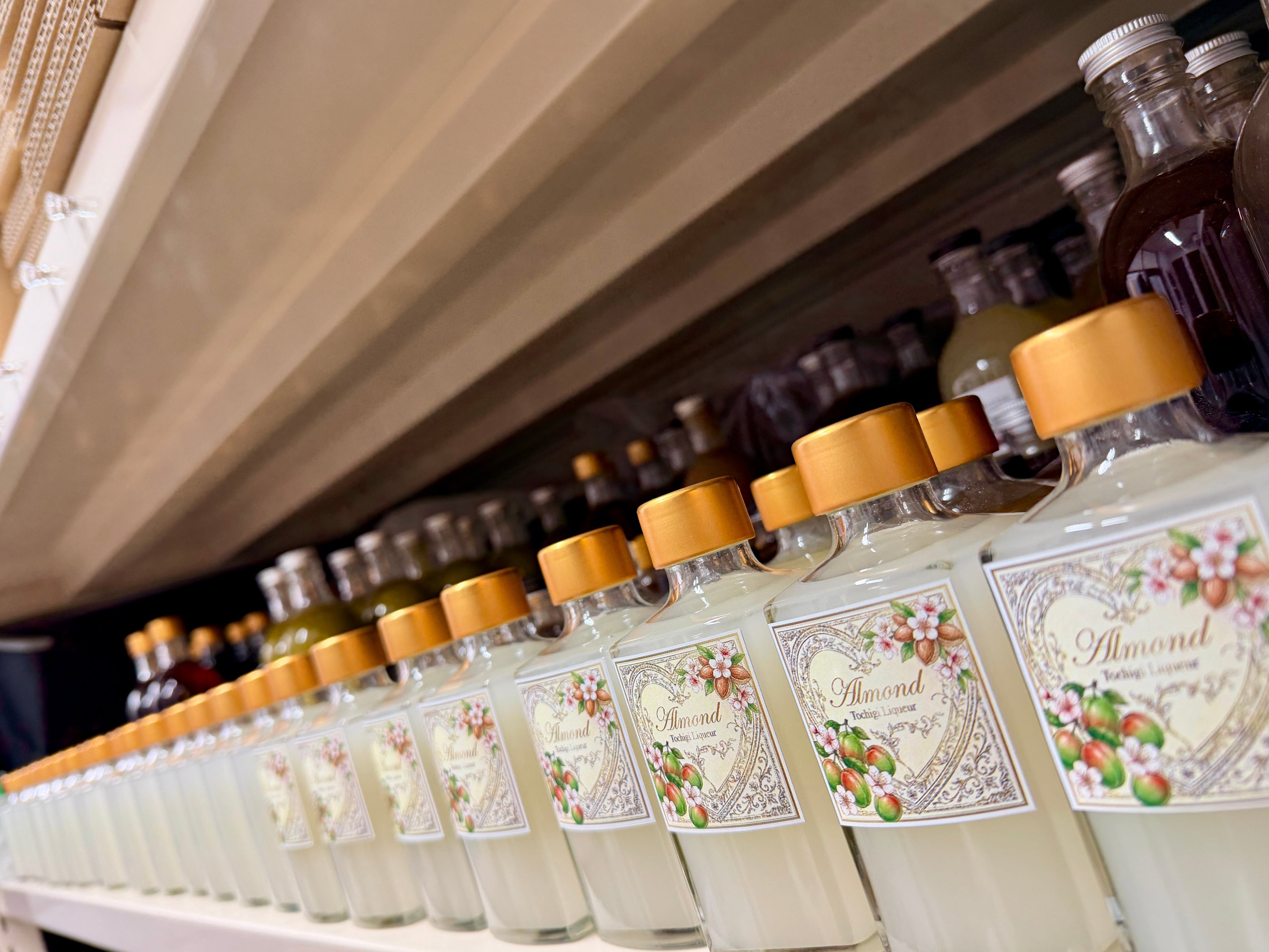 【新酒を増産中】梅酒とあれこれ