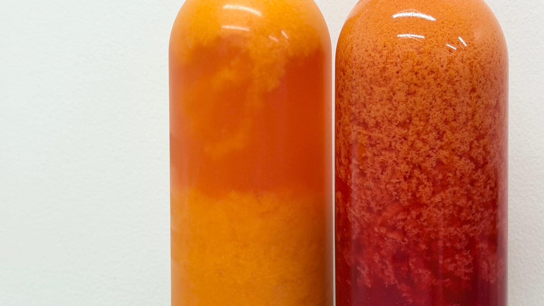 【新酒ができました】タロッコオレンジ・黄金柑